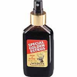 121111_10a_img_2060663004