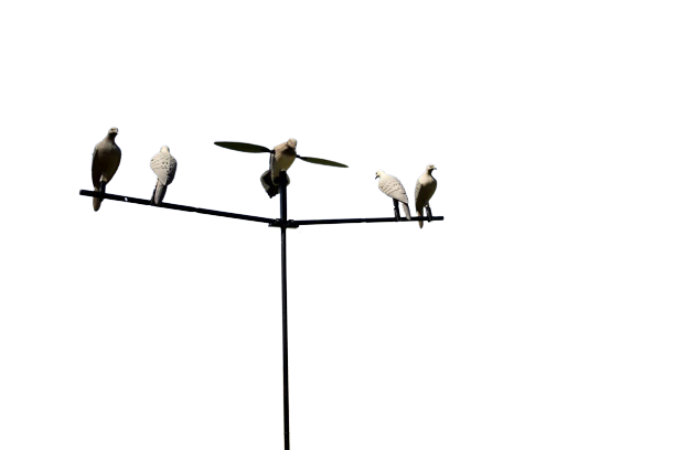 Mojo Dove Tree With Bag #HW9006 Mojo Dove Tree With Bag #HW9006