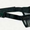 coastal mesh muzzle size 4