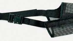 coastal mesh muzzle size 4