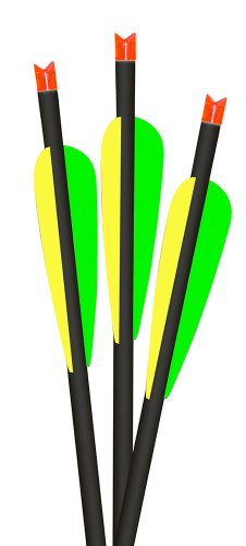 Lumenok 20-inch Barnett Headhunter Equipped Crescent Bolt End lumenok 20-inch barnett headhunter equipped crescent bolt end