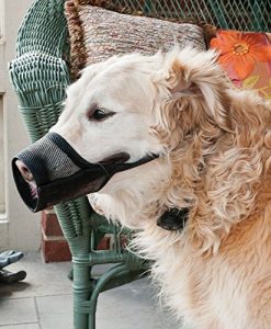 coastal mesh muzzle size 3