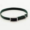 coastal pet small dog collar green