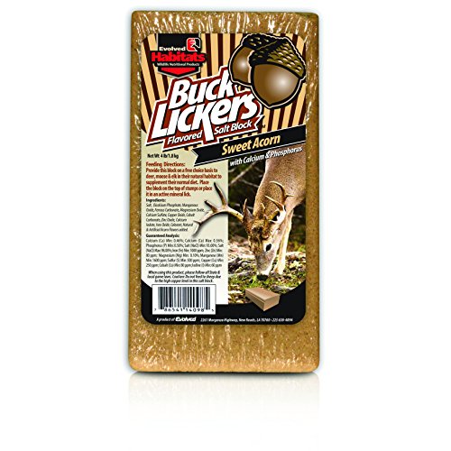 Evolved-habitats-buck-licker-sweet-acorn evolved habitats buck licker sweet acorn