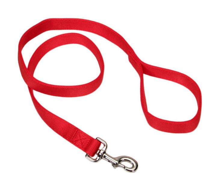 Coastal Pet Double-ply Nylon Dog Leash 6' coastal pet double-ply nylon dog leash 6'