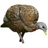 avianx feeder turkey decoy