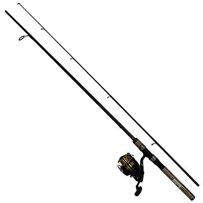 Daiwa D-Shock Spinning Combo 6'6" Daiwa D-Shock Spinning Combo 6'6"