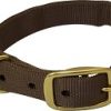 Drake Team Gun Dog Split Ring Collar