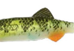 RENOSKY KEYSTONE JIG MINNOW PERCH