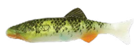 RENOSKY KEYSTONE JIG MINNOW PERCH RENOSKY KEYSTONE JIG MINNOW PERCH