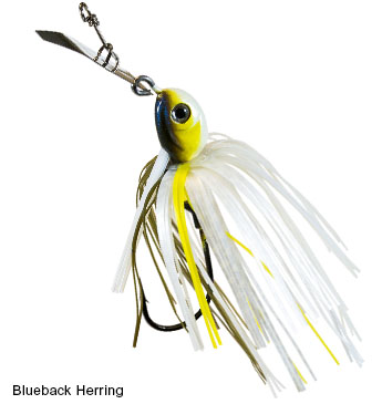 ZMAN WEEDLESS CHATTERBAIT PROJECT Z BLUEBACK HERRING ZMAN WEEDLESS CHATTERBAIT PROJECT Z BLUEBACK HERRING