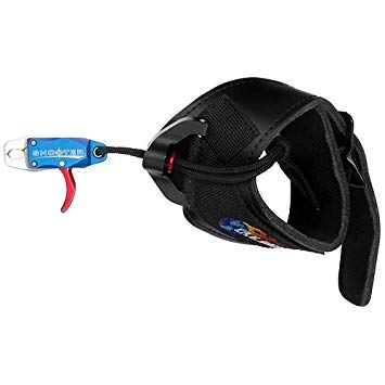 41nwjsyoNtL._SY355_ 41nwjsyoNtL._SY355_