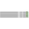 Beman ICS Hunter Classic Carbon Fiber Arrow 340 6 Pack