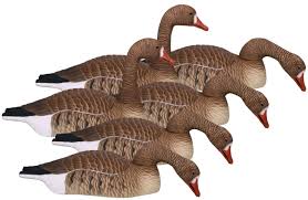 Specklebelly Goose Shells Specklebelly Goose Shells