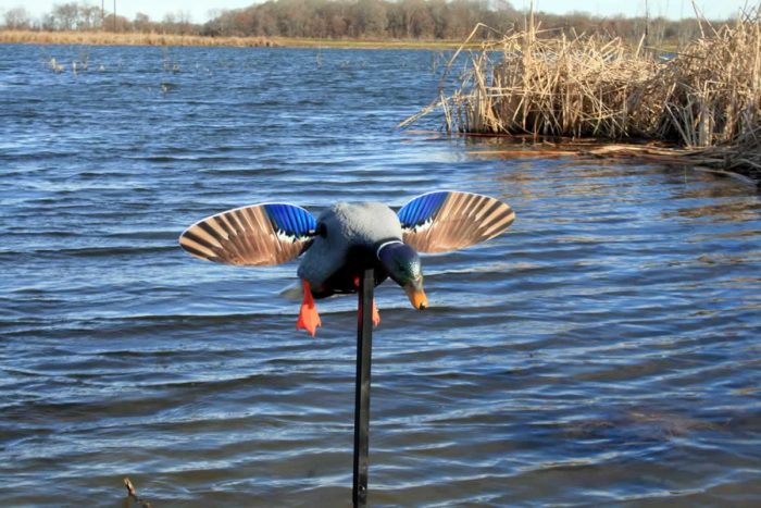 elite_series_mini_drake_4_540418602 elite_series_mini_drake_4_540418602