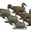 Pintail Decoys