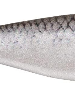 Berkley Powerbait The Champ Minnow 3.4' - Silver Shiner #PBTCM3.4-HDSVS