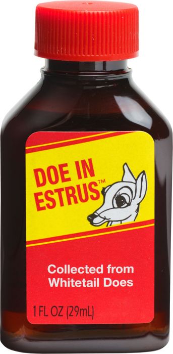 Doe In Estrus Doe In Estrus