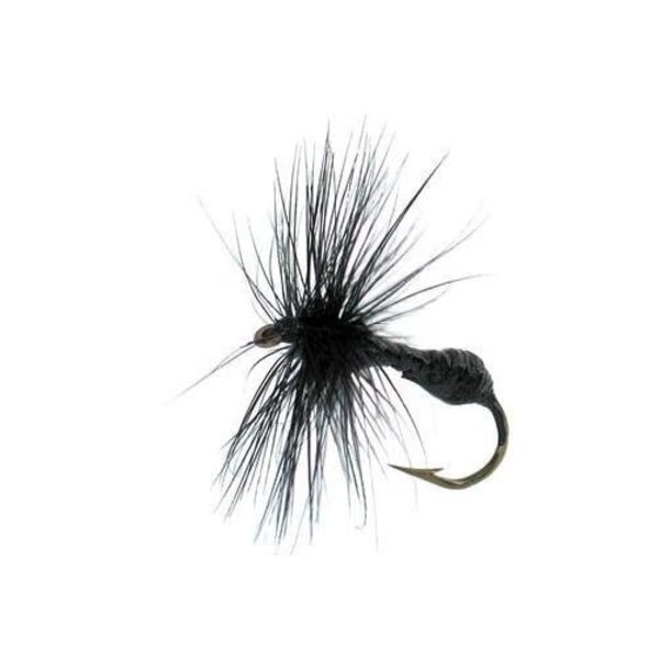 Betts Black Ant Fishing Fly Assorted - Size 8 #PA-8-9 Betts Black Ant Fishing Fly Assorted - Size 8 #PA-8-9