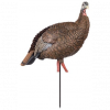 Avian-X HDR Hen Turkey Decoy