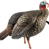 AvianX HDR Jake Turkey Decoy