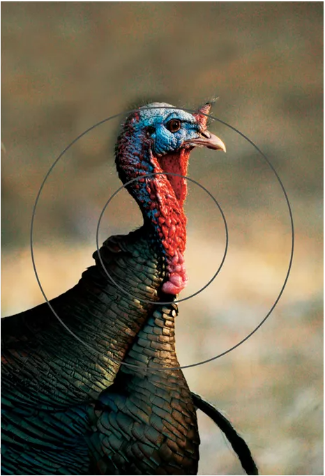Birchwood Casey PREGAME Turkey Reactive Target Birchwood Casey PREGAME Turkey Reactive Target