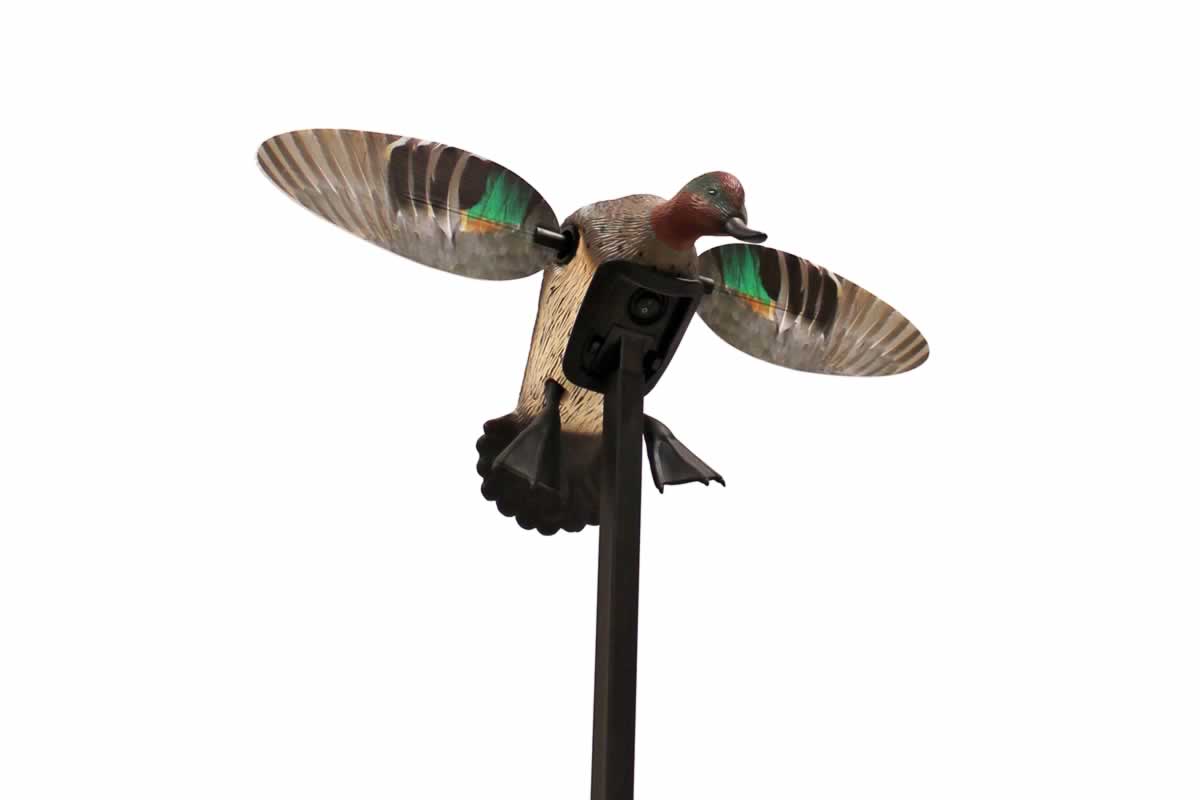 MoJo Outdoors Elite Series - Green Wing Teal #HW2474 MoJo Outdoors Elite Series - Green Wing Teal #HW2474