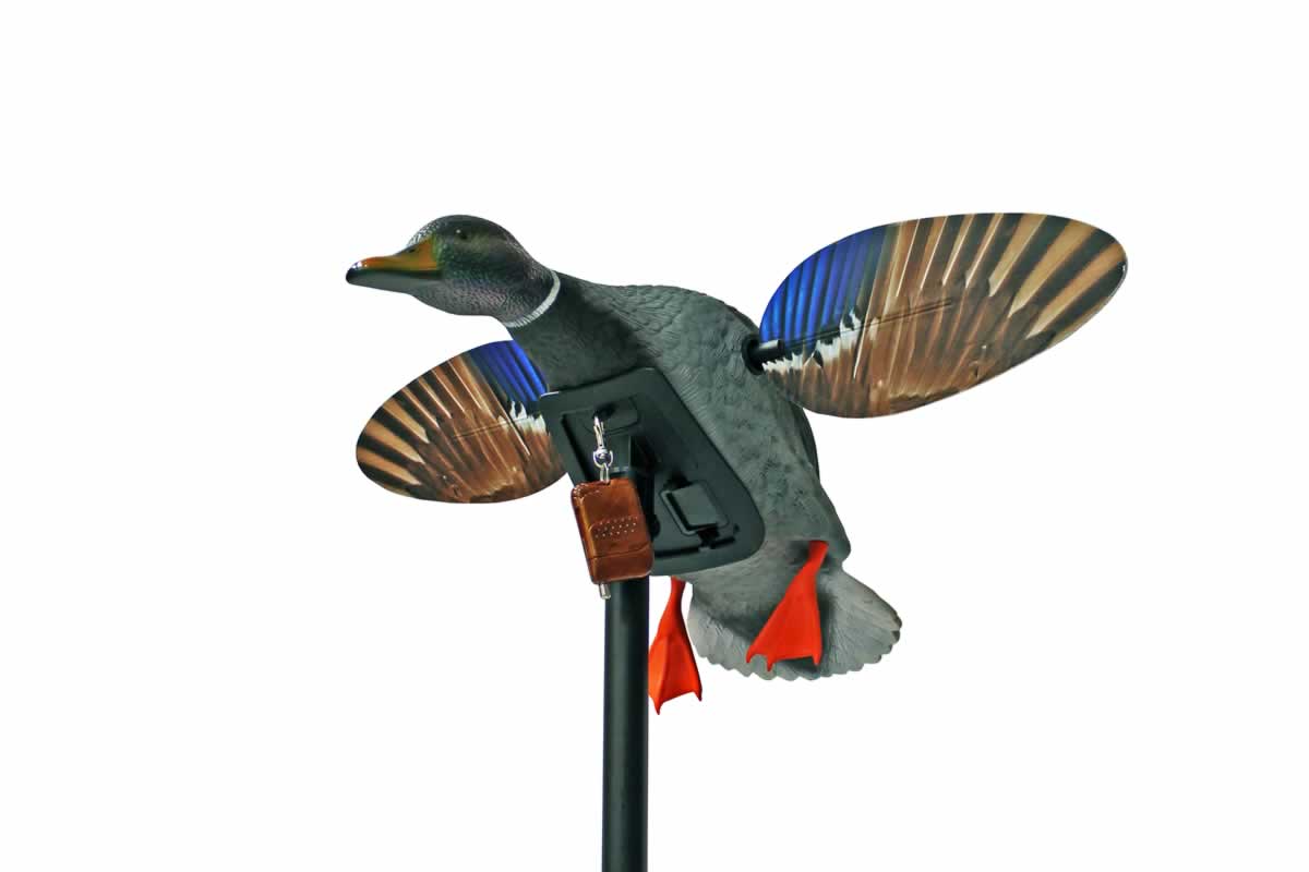 MoJo Outdoors Elite Series - Mini Mallard Drake w/ Remote #HW2487 MoJo Outdoors Elite Series - Mini Mallard Drake w/ Remote #HW2487