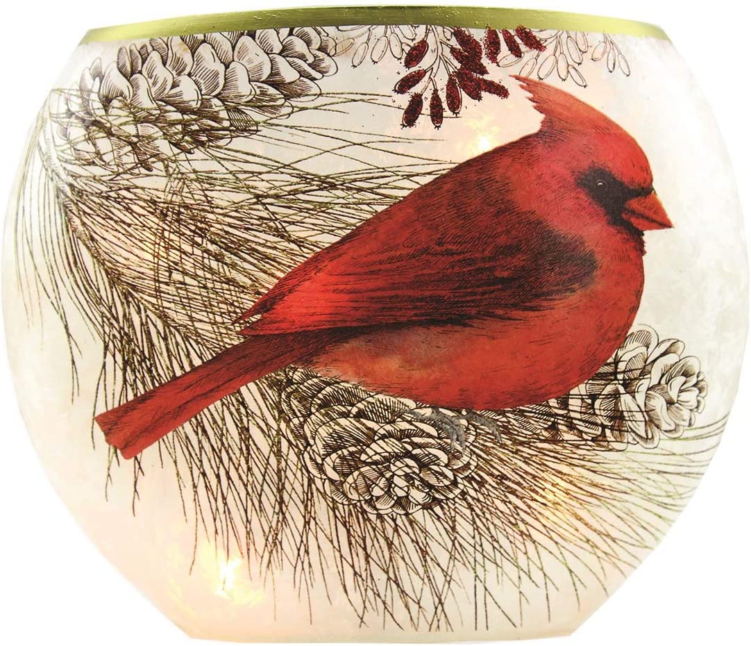 Ganz LED Light Up Cardinal Oval Glass Vase #LLX1263 Ganz LED Light Up Cardinal Oval Glass Vase #LLX1263