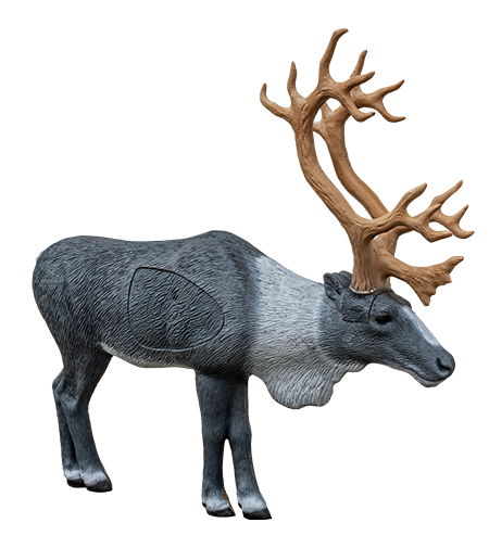 Rinehart 1/3 Scale Woodland Caribou Target #23211 Rinehart 1/3 Scale Woodland Caribou Target #23211