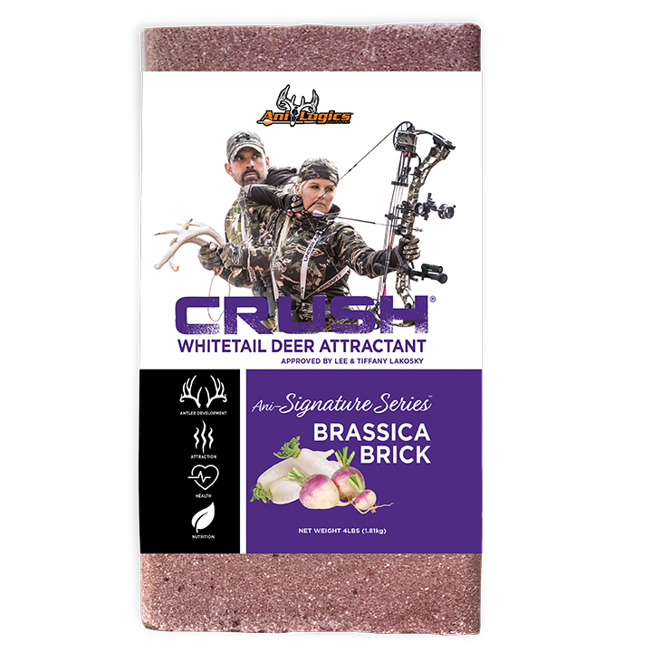 Ani-Logics Crush Brassica Brick - 4Lbs #ANI42101 Ani-Logics Crush Brassica Brick - 4Lbs #ANI42101
