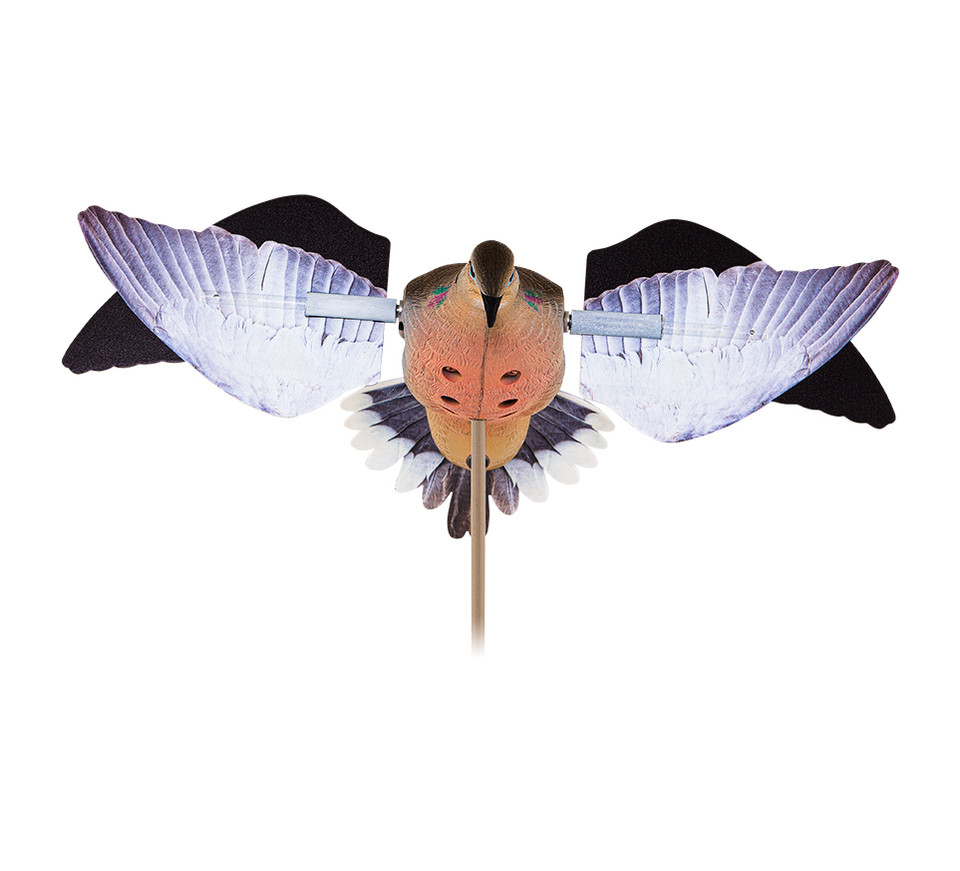 Avian X Powerflight Dove #AVXDP102 Avian X Powerflight Dove #AVXDP102