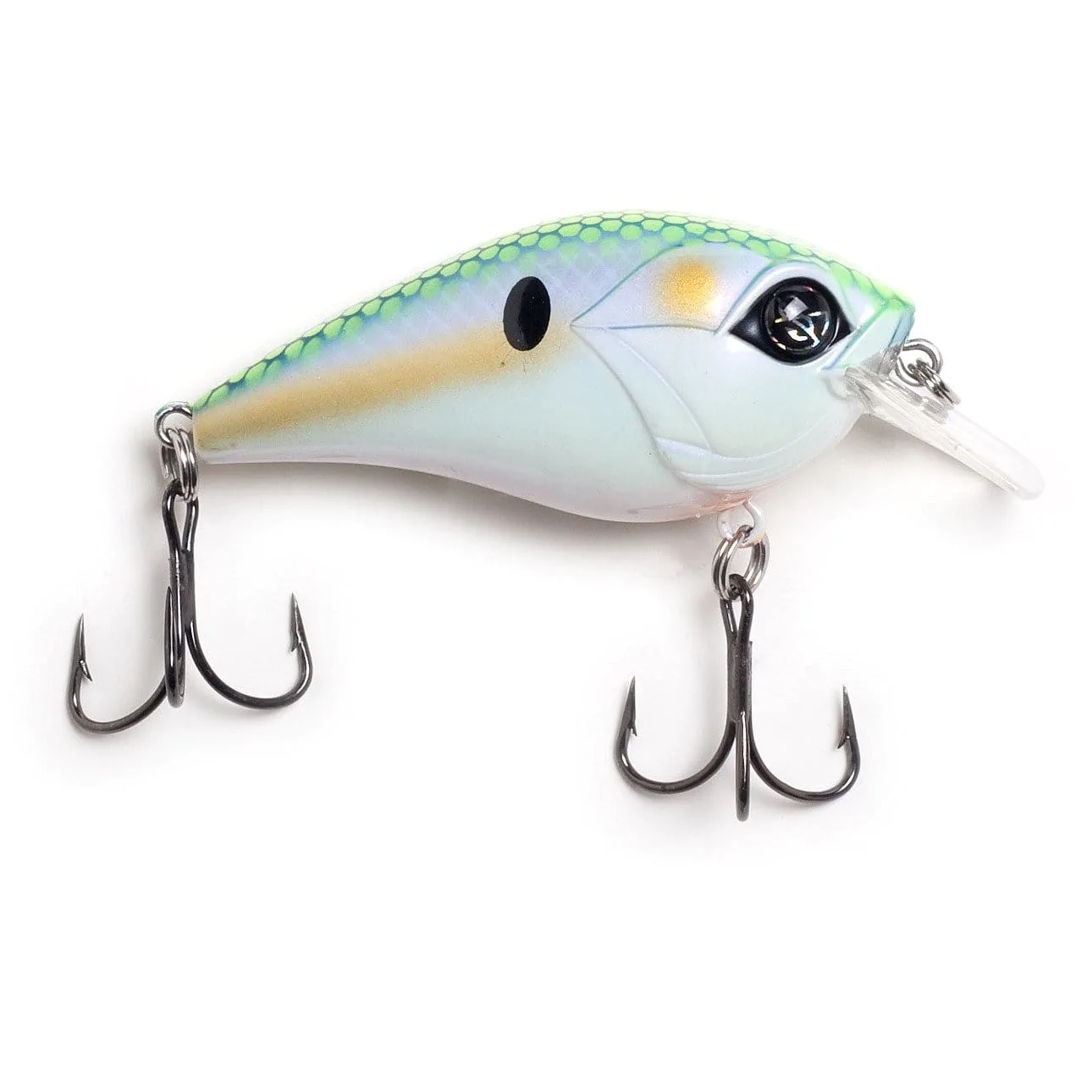 Googan Squad Flat Banger - Mondo Shad #1001GGS10004B Googan Squad Flat Banger - Mondo Shad #1001GGS10004B