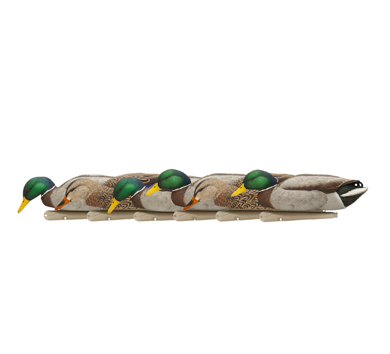 Avian X Topflight Backwater Mallards #AVX-AVX8070 Avian X Topflight Backwater Mallards #AVX-AVX8070
