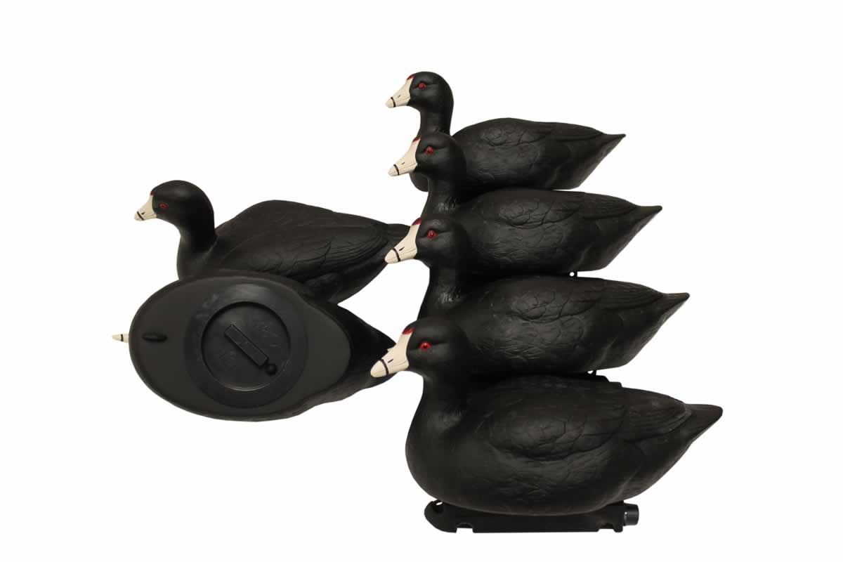 Mojo Coot Confidence Decoys (6-Pack) Mojo Coot Confidence Decoys (6-Pack)
