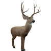 Rinehart Woodland Mule Deer Target #18011