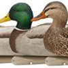 Avian X Open Water Mallard Pack OF 6 #80600WM