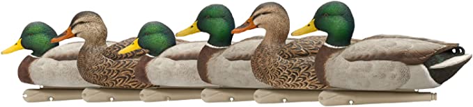 Avian X Open Water Mallard Pack OF 6 #80600WM Avian X Open Water Mallard Pack OF 6 #80600WM