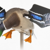 Avian-X Powerflight Mallard Spinning Wing Duck Decoy #AVX-AVXDP101