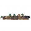 Avian-X Topflight Early Season Mallards #AVX-AVX8062