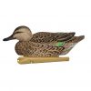 Avian-X Topflight Early Season Teal #AVX-AVX8079