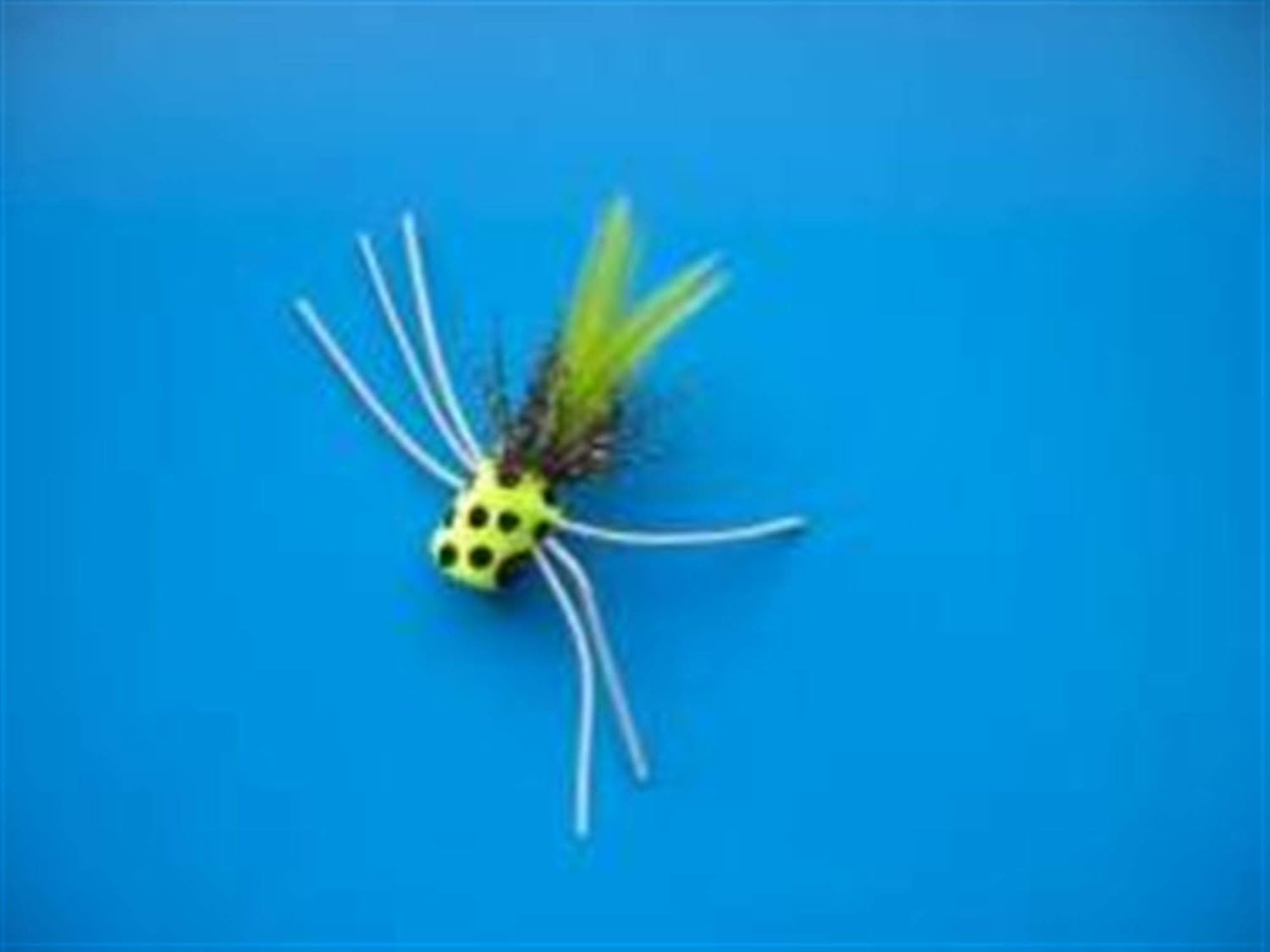 Betts Poka Pop Chartreuse - Size 8 #309-8-5 Betts Poka Pop Chartreuse - Size 8 #309-8-5