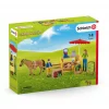 Schleich Sunny Day Mobile Farm Stand #42528