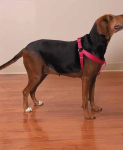 Casual Canine Two-Step Harness #ZA807