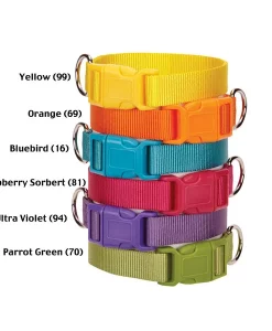 Casual Canine Nylon Dog Collars #ZM2391