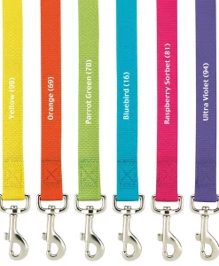 Pet Boss Casual Canine Nylon Leash Leads 6-FT