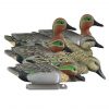Higdon Outdoors Standard Green Wing Teal 6pk #19943