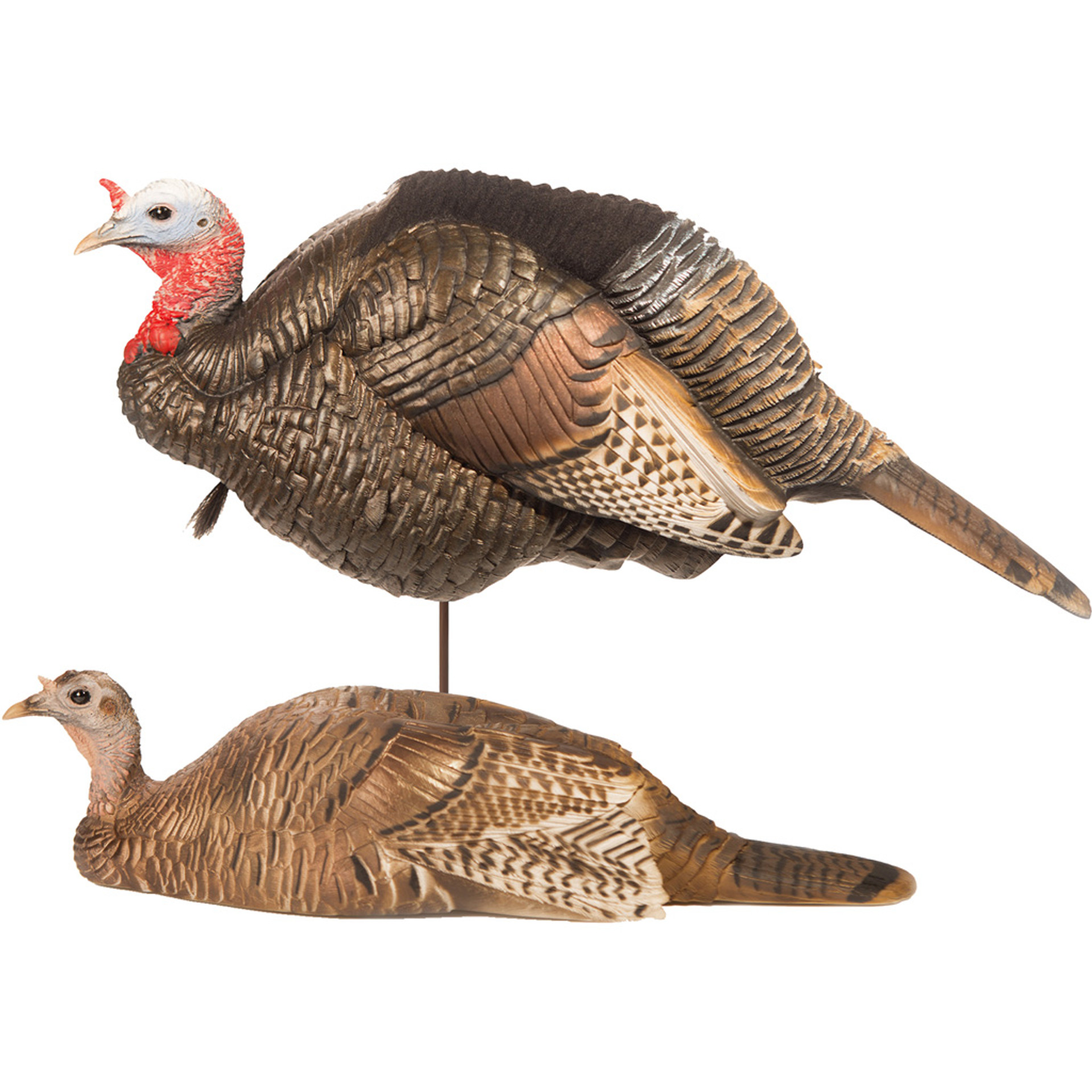 Dave Smith Breeding Pair Turkey Decoy #BRP Dave Smith Breeding Pair Turkey Decoy #BRP